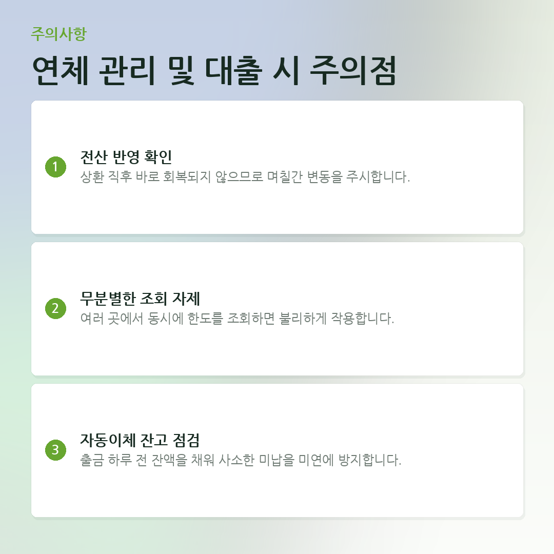 연체 관리 및 대출 시 주의점 요약 카드