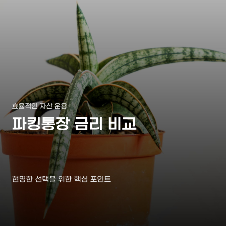 파킹통장 금리 비교 조건이 같아도 결과가 달라지는 기준